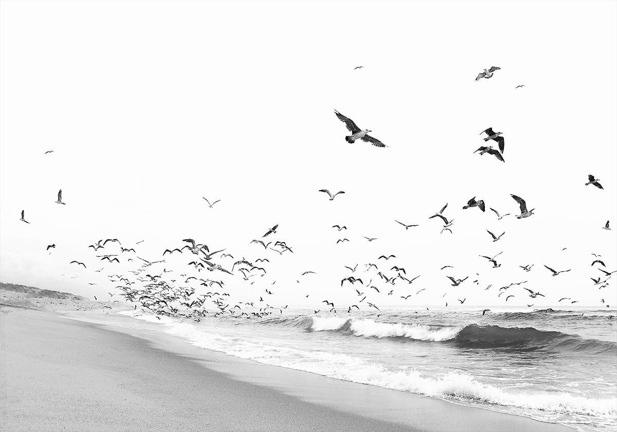 Seascape BW (NOVINKA)