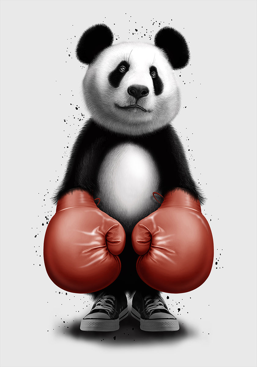 Plakát PANDA BOXER
