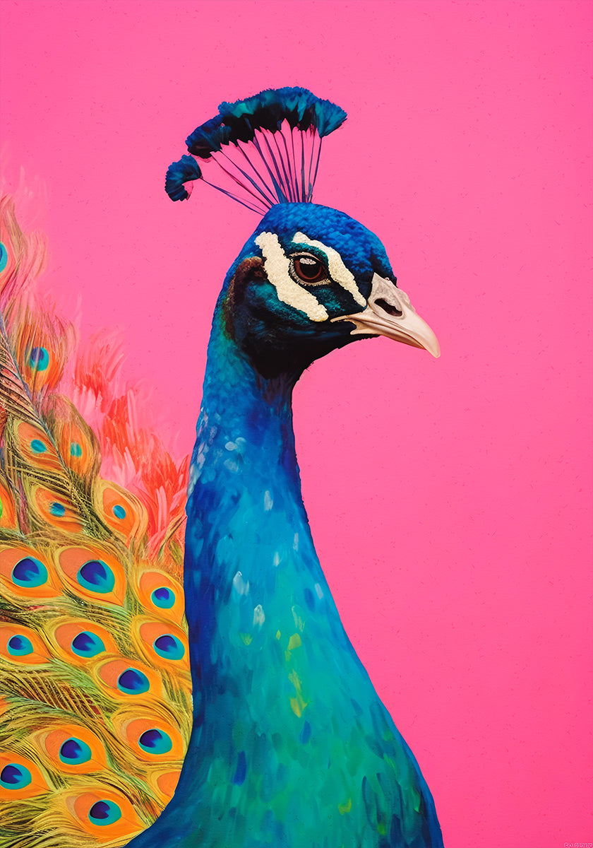 Peacock's Vibrance