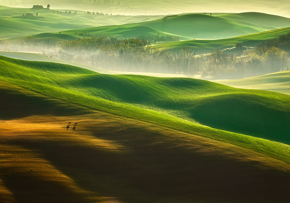Svoboda...