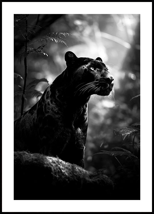 Plakát Majestátní Black Panther