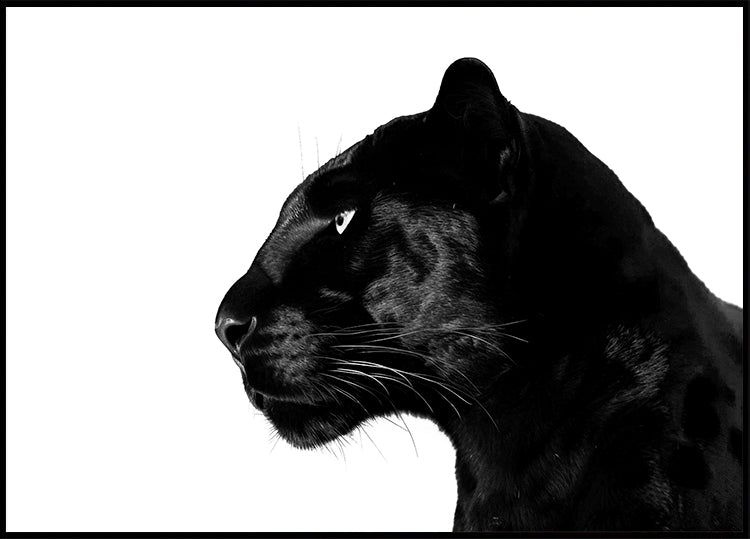 Black Panther Profile Plakát