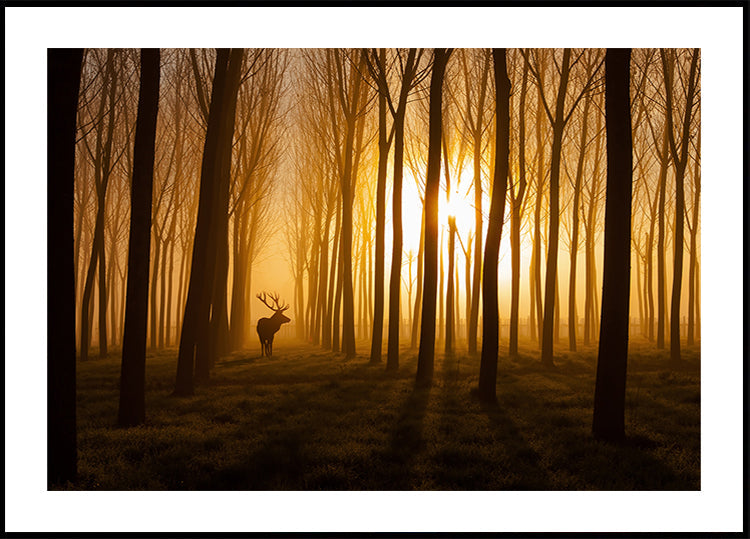 Tenkrát jeden plakát