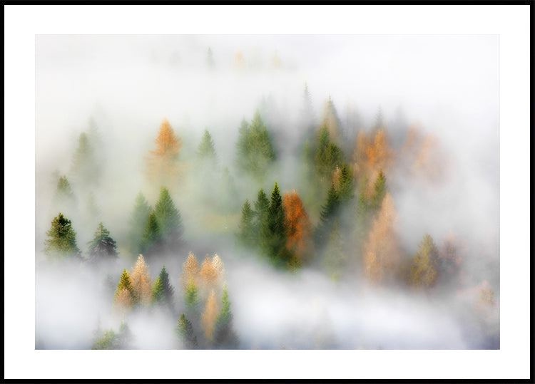 Podzimní sen plakát