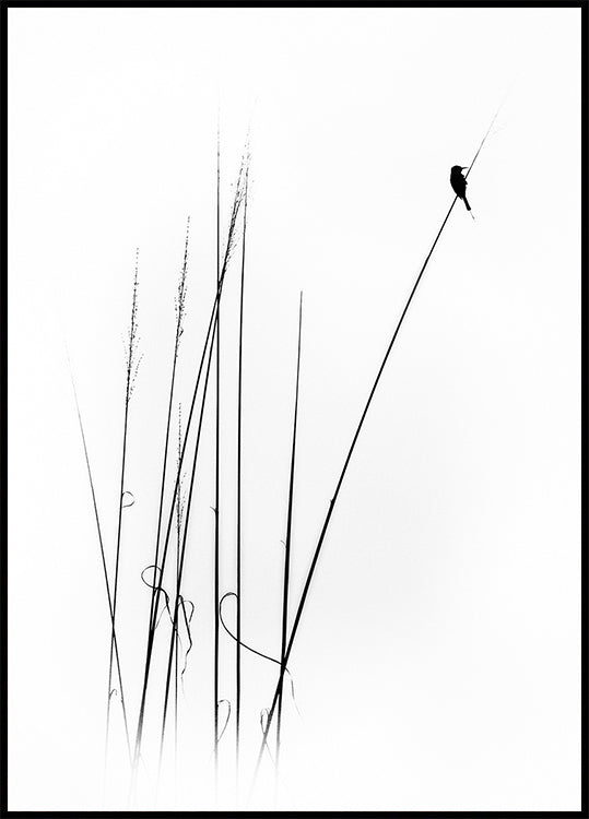 sabatical
