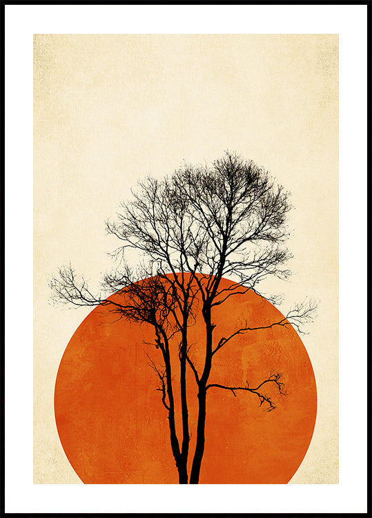 V divočině (NOVINKA)