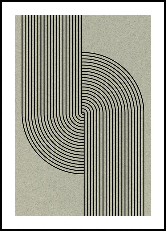 Zakřivená symetrie