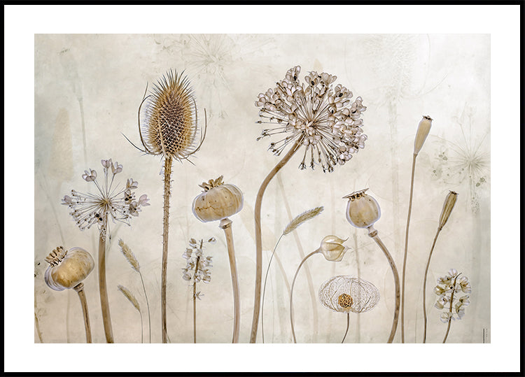 Rostoucí starý plakát