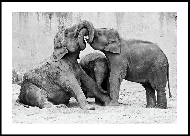 MENAGE À TROIS