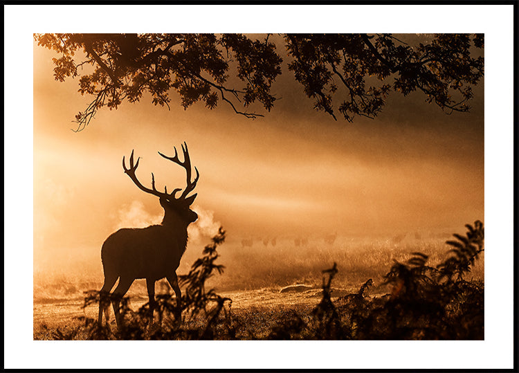 Plakát Red Deer Stag in the Mist