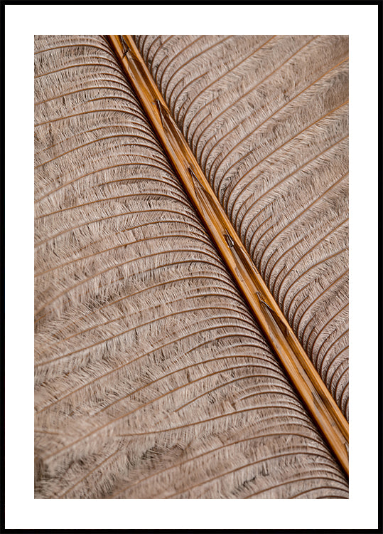 Plakát Feather_007