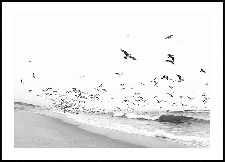 Seascape BW (NOVINKA)