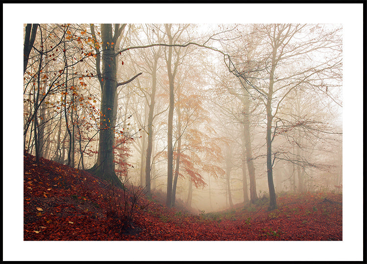 Čekání na jelena.