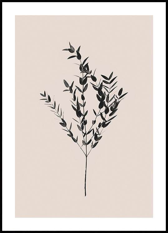 Inkoustové botanické