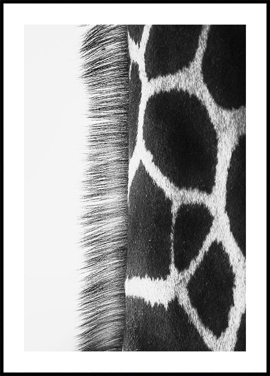 Giraffe Neck Plakat - Posterbox.dk