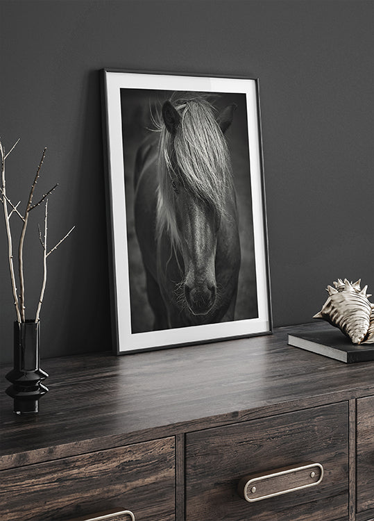 Plakát Alpine Surf Dude