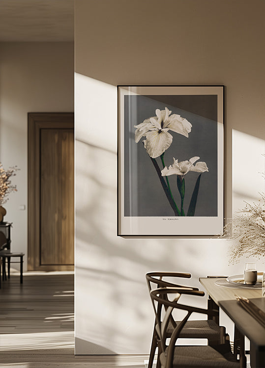 Plakát Iris Kæmpferi