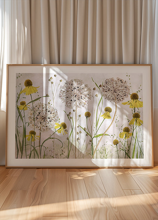 Plakát Alliums a Heleniums