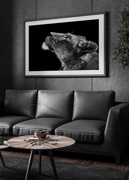 Vyhledávání Plakát