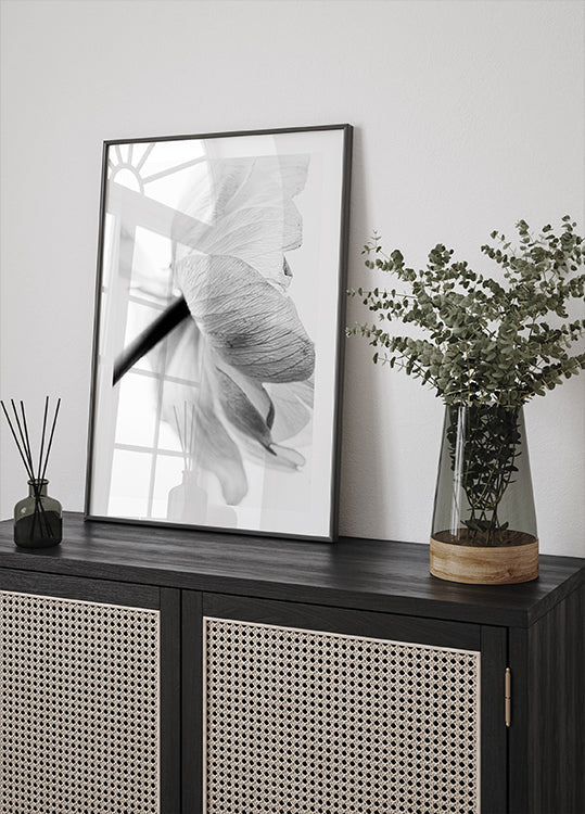 Kvetoucí květina plakát