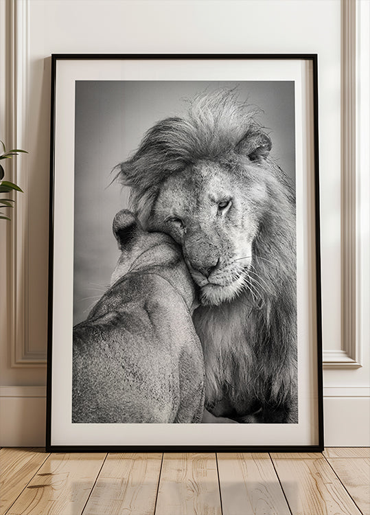 Africká láska! Plakát