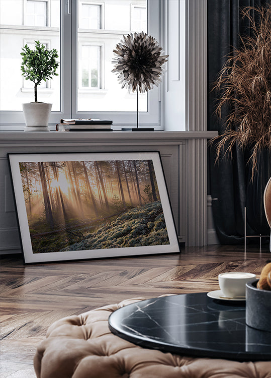 Plakát Mlha v lese s bílým mechem v popředí