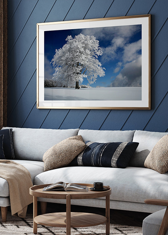 White Windbuche ve Schwarzwaldu