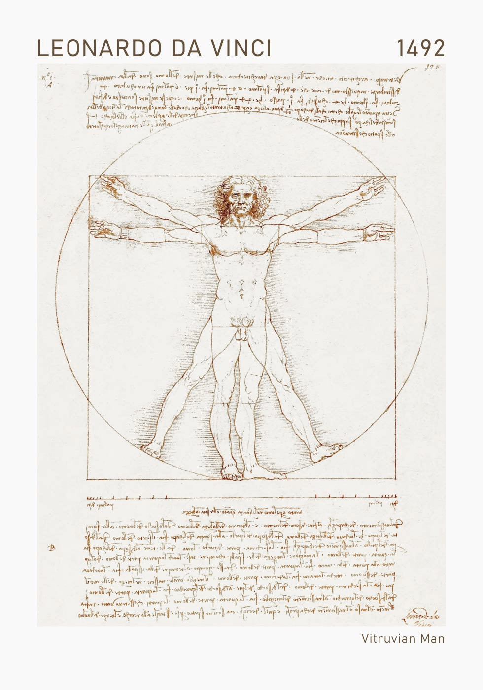 Leonardo da Vinci, Vitruvian Man Plakat - Posterbox.dk