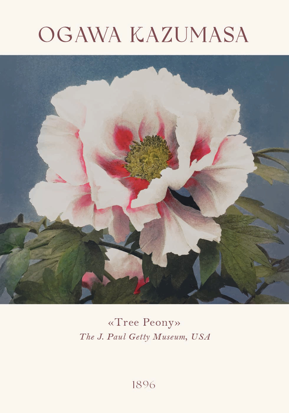 Tree Peony, Ogawa Kazumasa Foral Plakat - Posterbox.dk