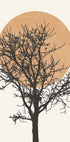 Tree Silhouette and Sun Plakat - Posterbox.dk