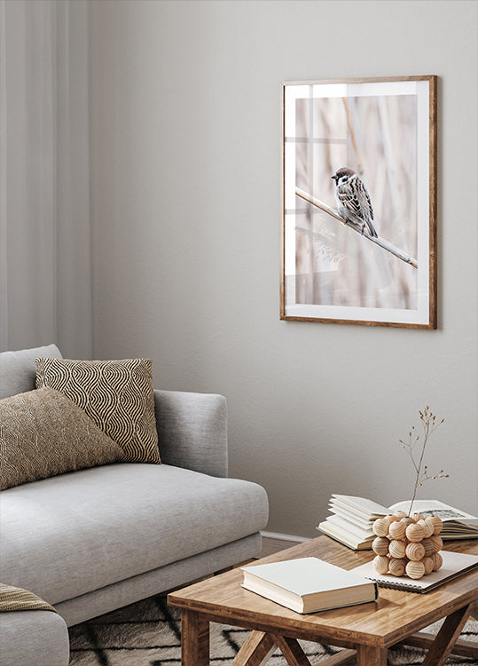 Tree Sparrow on Branch Plakat - Posterbox.dk