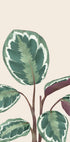 Variegated Green and Purple Plant Plakat - Posterbox.dk