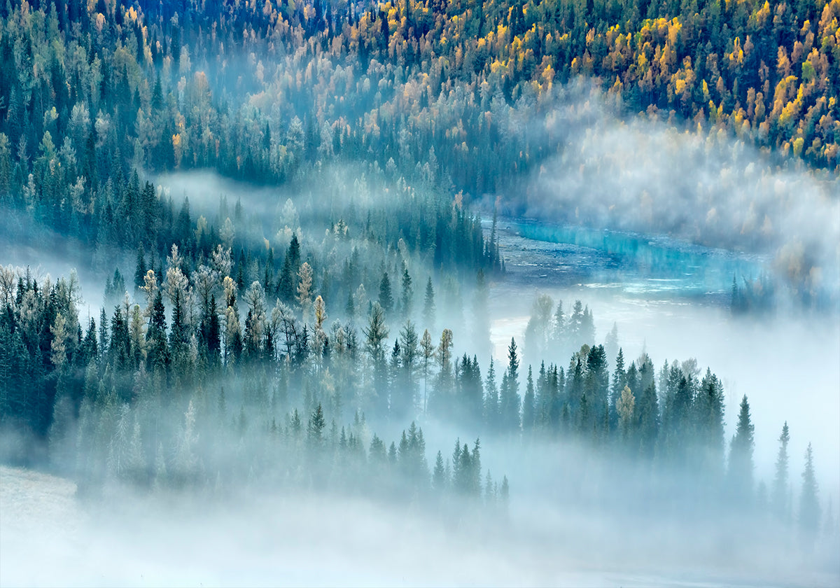 Magic Bay