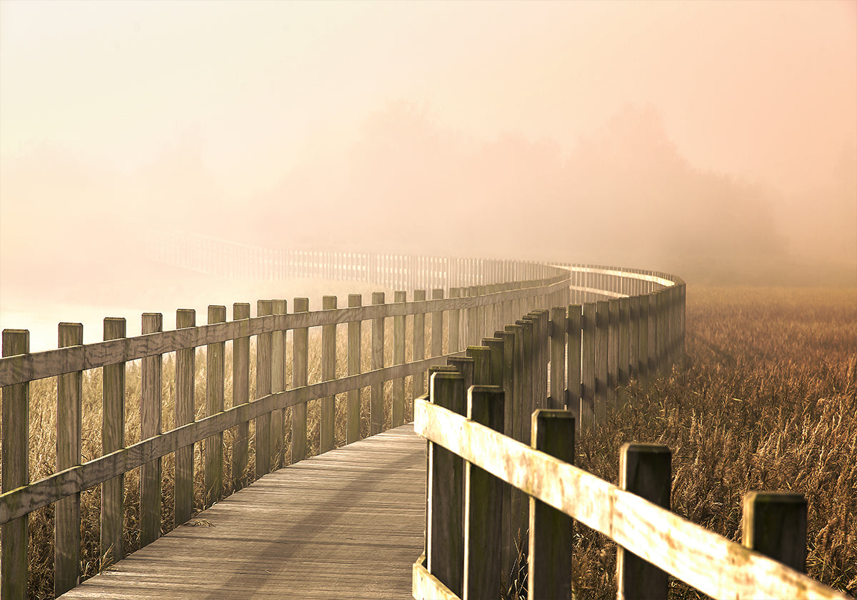 Cesta je jasnější.