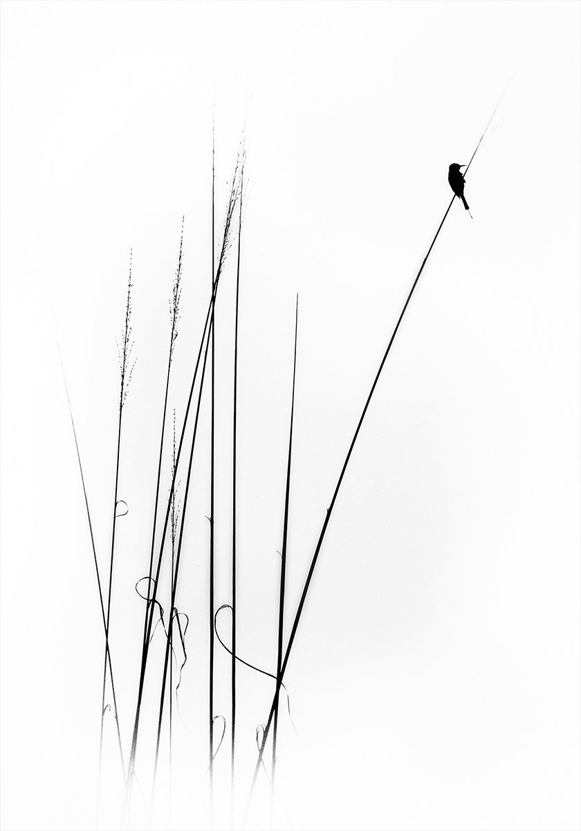 sabatical