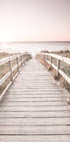 Path to the Beach Plakatr - Posterbox.no