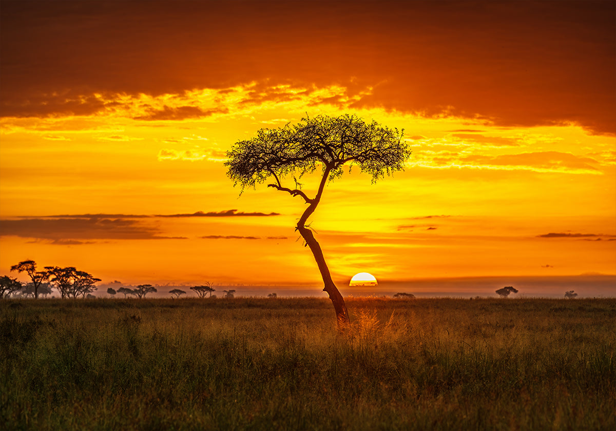 Plakát Prapůvodní Afrika