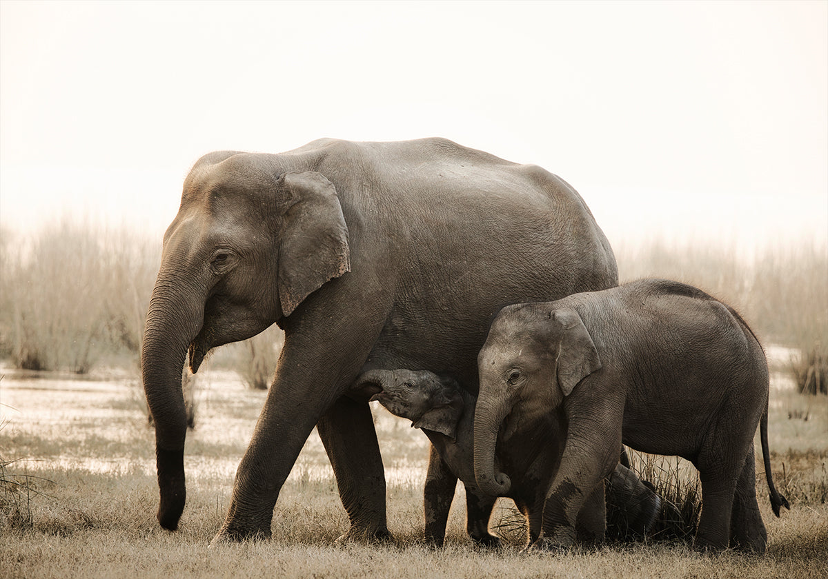 rodinný portrét plakát