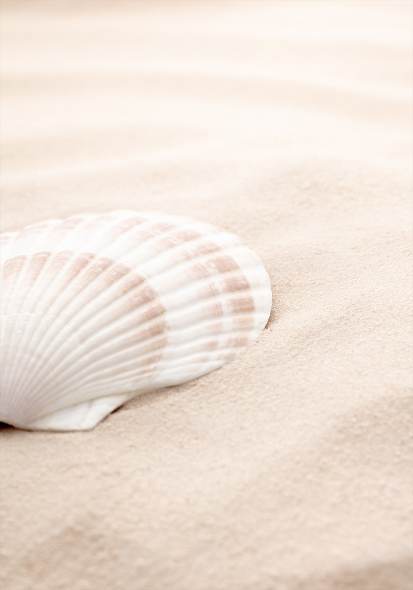 Plakát Shell_3