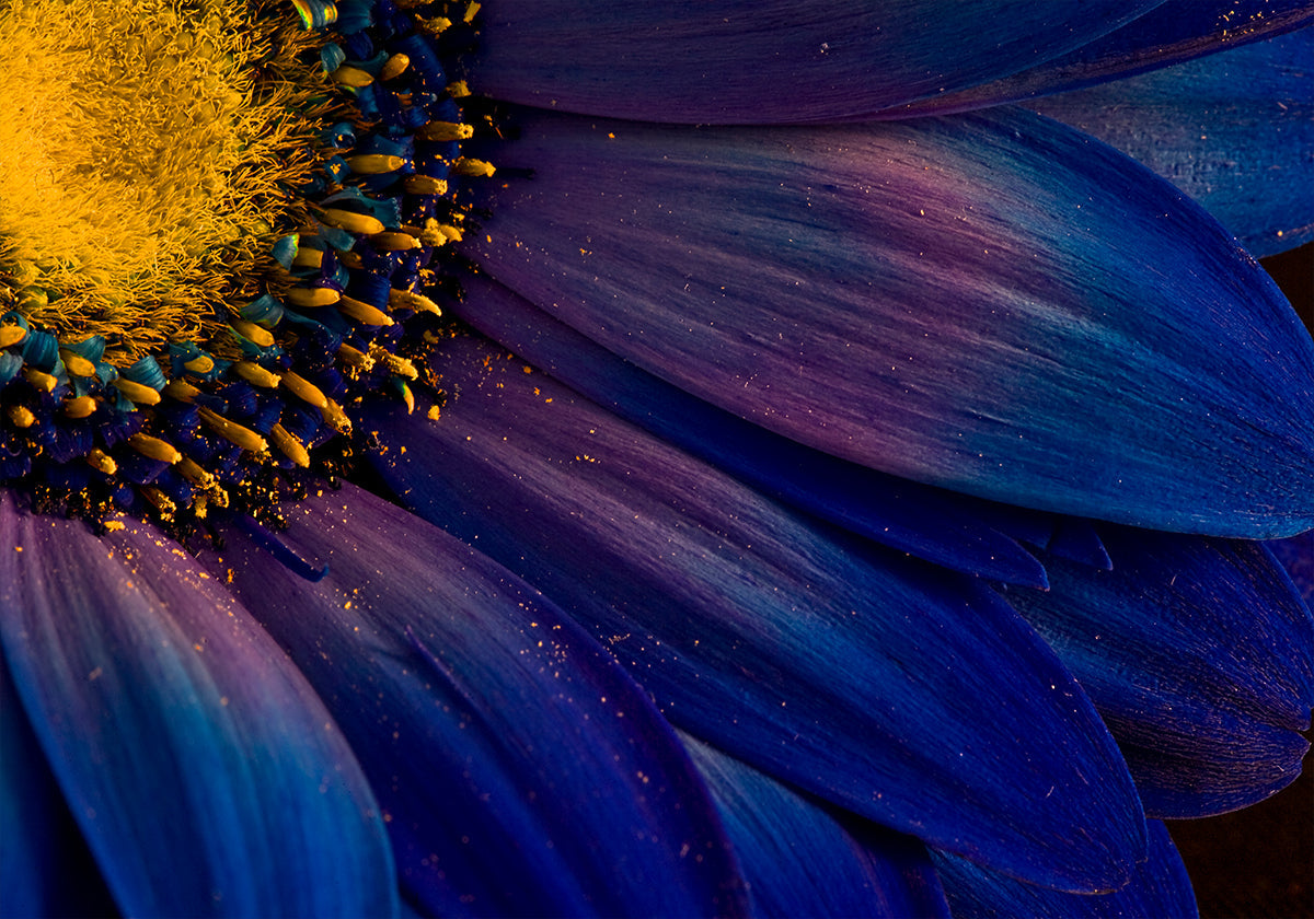 Modré paprsky plakát