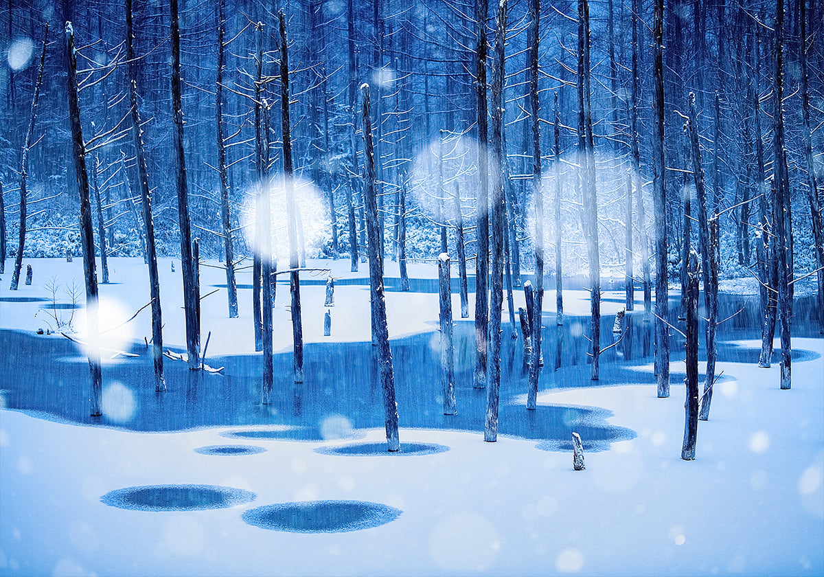 Plakát Pohádková země