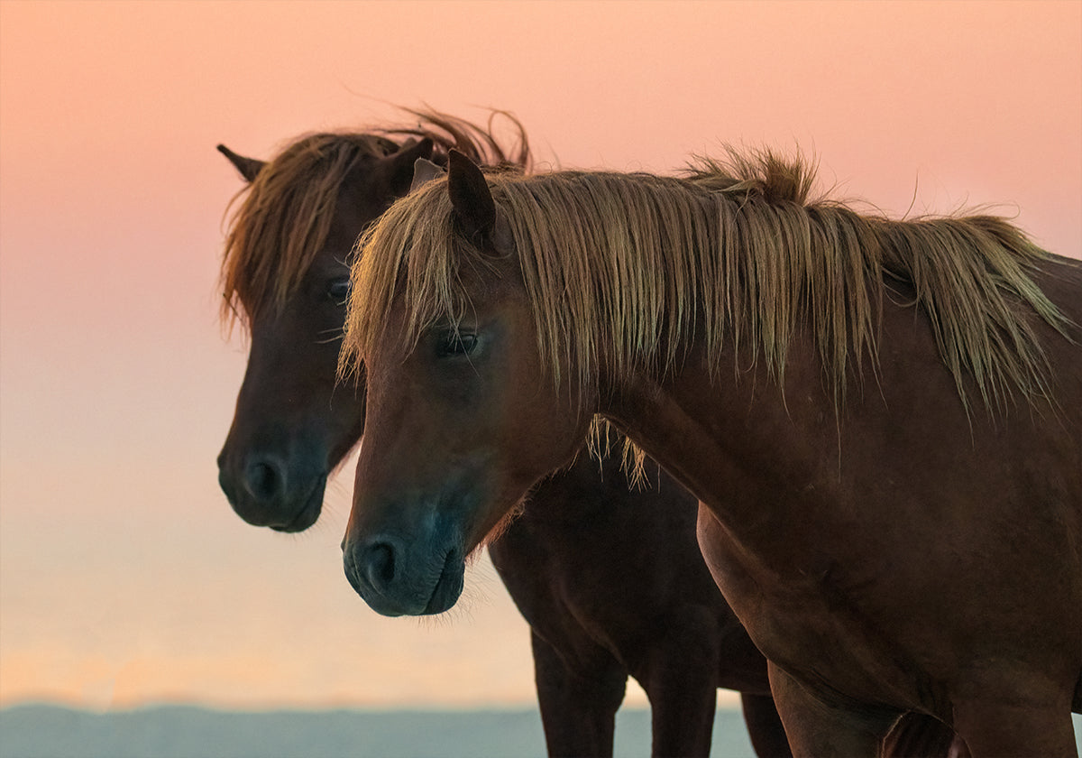 Těšíme se na plakát