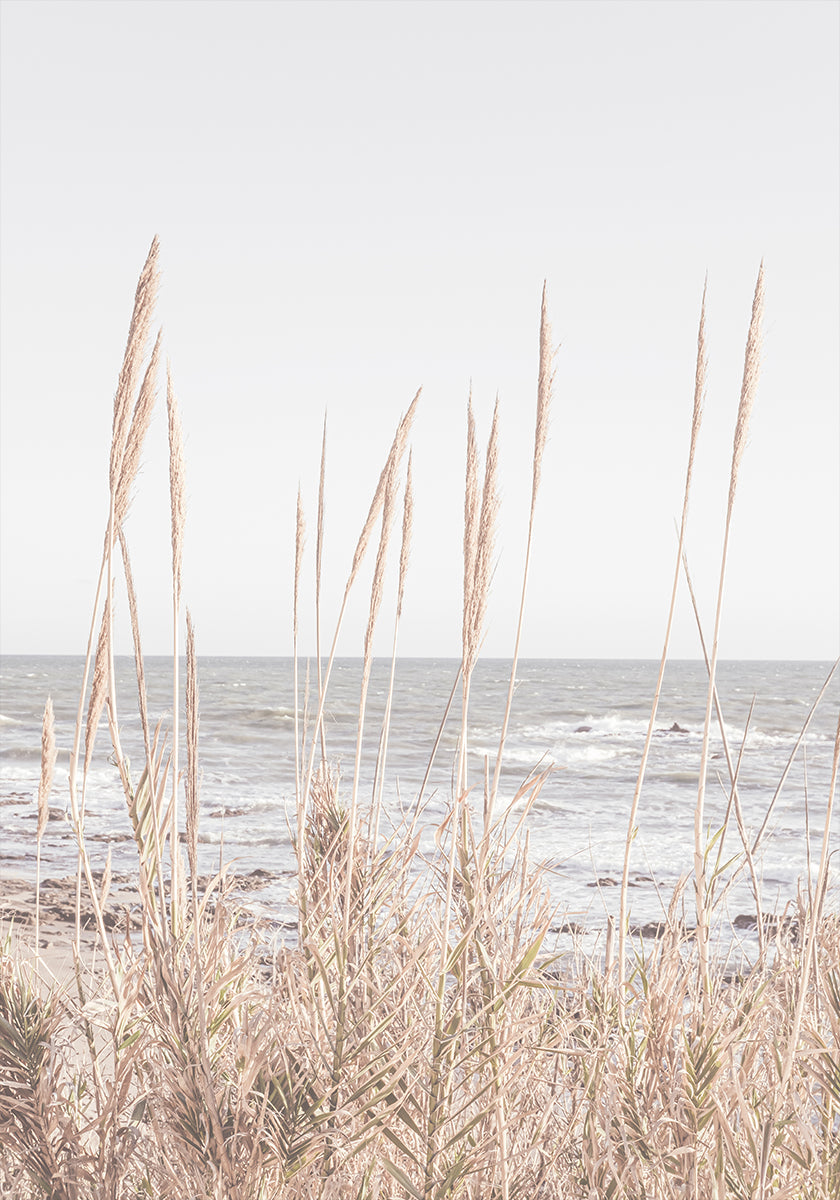 Plakát Beach_Vass_001