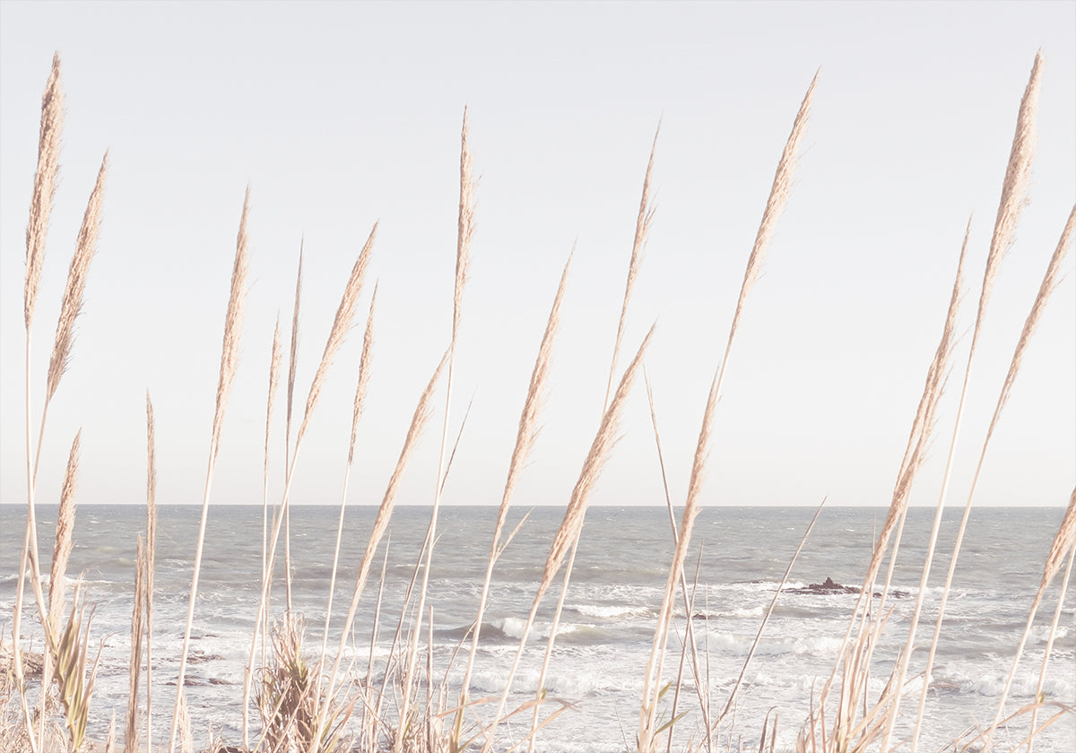 Plakát Beach_Vass_002