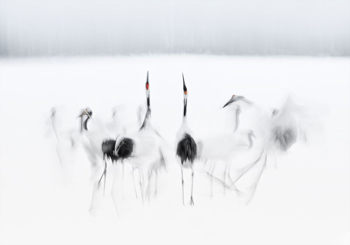 Plakát kaligrafického baletu