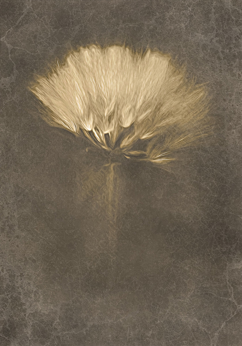 Plakát Tajemné dny