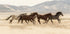 Wild Horses Running Plakat - Posterbox.dk