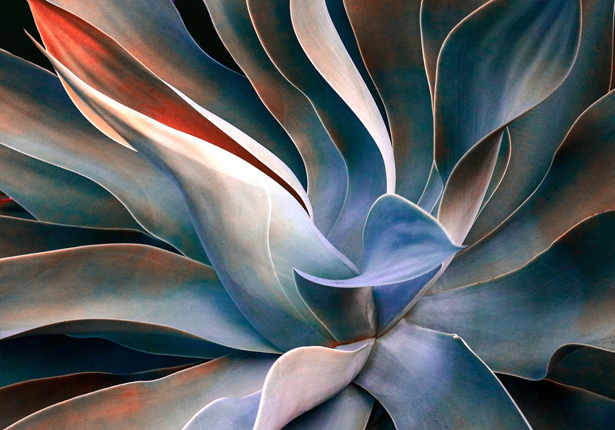 Plakát barvy v listech