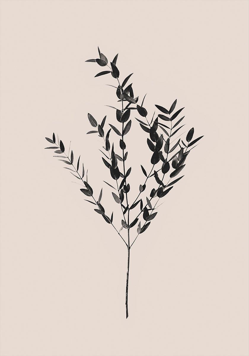 Inkoustové botanické