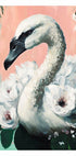 Swan Elegance - Posterbox